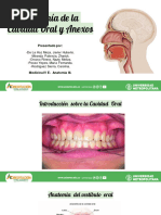 Anatomía de La Cavidad Oral y Anexos