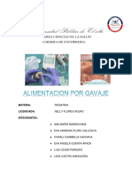 Alimentacion Por Gavaje Pediatria Oficial