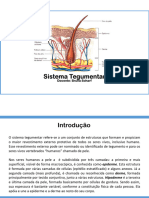 Sistema Tegumentar e Articular