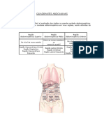 13 - Quadrantes Abdominais