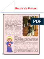 Ficha Aplicativa San Martin de Porres