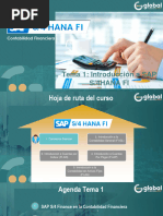 SAP FI Finanzas y Contabilidad 1 v2