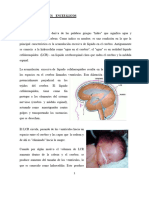 Lista de Malformaciones Congénitas