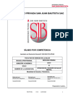 Sílabo Atención Del Paciente en Salud Mental 2024-I