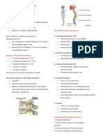 Vertebrae Reviewer