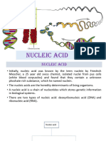 Nucleic Acid