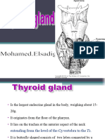 The Thyroid Gland