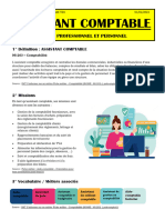 Assistant Comptable: Projet Professionnel Et Personnel