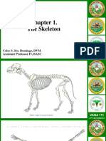 Chapter 1. Skeletal System