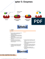 Chapter 5 Enzyme