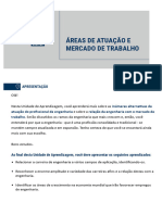 3.1 Áreas de Atuação e Mercado de Trabalho