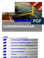 Surendranagar District Profile