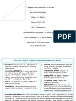 Tarea 3 - Morfofisiología Del Aparato Locomotor