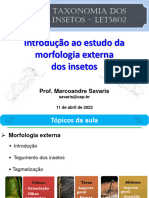 Aula 4 Morfologia Externa Dos Insetos