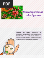 Microorganismos