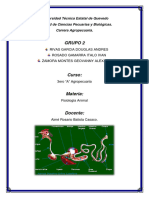 Fisiologia Animal Diseccion de La Gallina