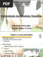 Enfermidades Das Glândulas Mamárias: Elizabeth Schwegler Marcio Nunes Corrêa