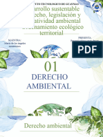 Desarrollo Sustentable v2