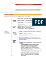 Tema 6. La Organización Empresarial