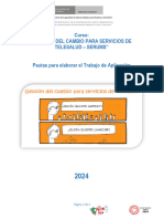 Pautas de Trabajo Aplic. Curso Gestiã - N Del Cambio Telesalud - Serums