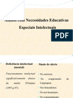 Necessidades Educativas Especiais Intelectuais