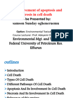 The Effects of Apoptosis and Necrosis in Cell Death