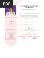 Curriculum Consuelo Guarnizo