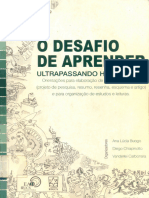 O Desafio de Aprender Ultrapassando Horizontes