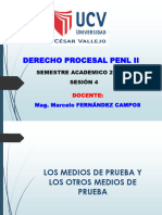 PPT-SESION #04 - Los Medios de Prueba