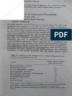 Microbial Metabolism (Unit 2)