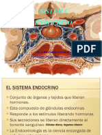 1 Sistema Endocrino