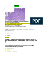 Fisiopatología - Anatomía Patológica