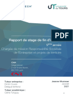 Rapport de Stage RSE