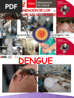 Organizacion Ss y Manejo Clinico Del Dengue Resumido - Alfredin 2023 - Ultimo Resumido Febrero 2024 Callao