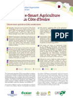 Cote D'ivoire CSA Profile