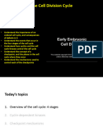 L11 - Cell Cycle - F23