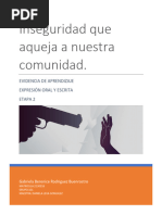 INSEGURIDAD