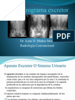 Urograma Excretor2