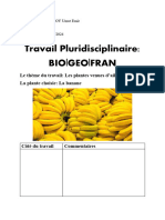 Travail Pluridisciplinaire (La Banane)