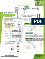 Alteracion de La Estructura Del Cromosoma