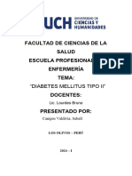 Sesion Educativa Diabetes Mellitus Tipo Ii