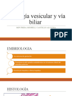 Patología Vesicular y Vía Biliar Corregido