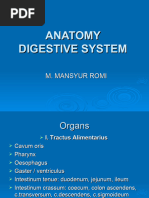 Anatomi Sistem Digesti.1