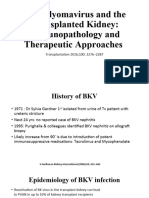 BK Polyomavirus and The Transplanted Kidney: Immunopathology and Therapeutic Approaches