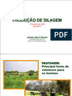 Producao de Silagem