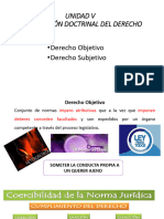 Derecho Subjetivo