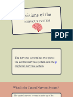 Divisions of The Nervous System