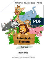 (BÔNUS) Animais Da Floresta