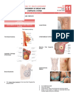 Week 11 - Assessment of Breast and Lymphatic System