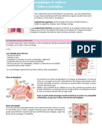 Fisiopatología Sist. Respiratorio